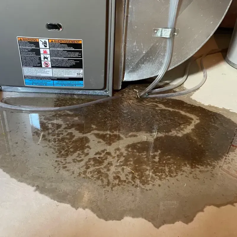 Appliance Leak Cleanup in Morocco, IN